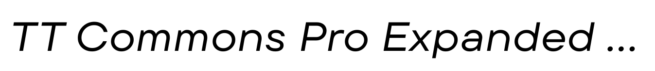 TT Commons Pro Expanded Normal Italic